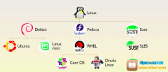 下载Centos系统，各种linux厂家官方网站，Red Hat、SUSE、CentOS、Ubuntu区别