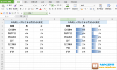 数据可视化：在WPS和Excel表格单元格中将百分数转化成数据条