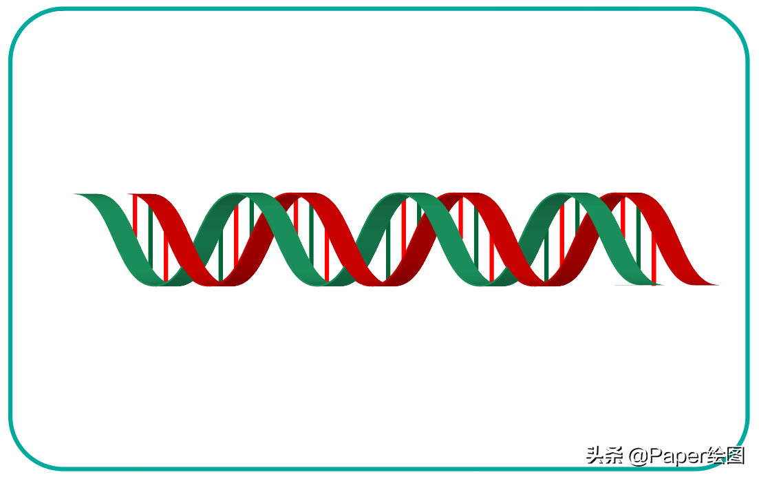 如何使用AI绘制DNA双分子链
