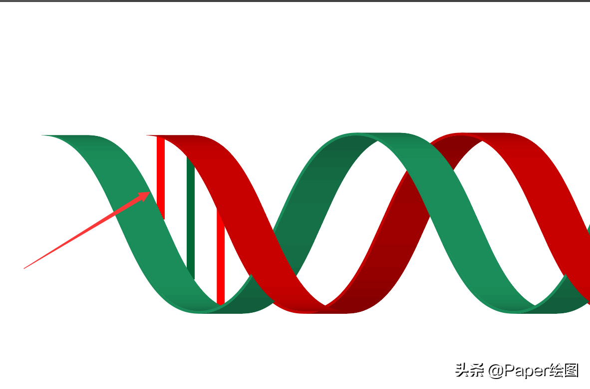 如何使用AI绘制DNA双分子链